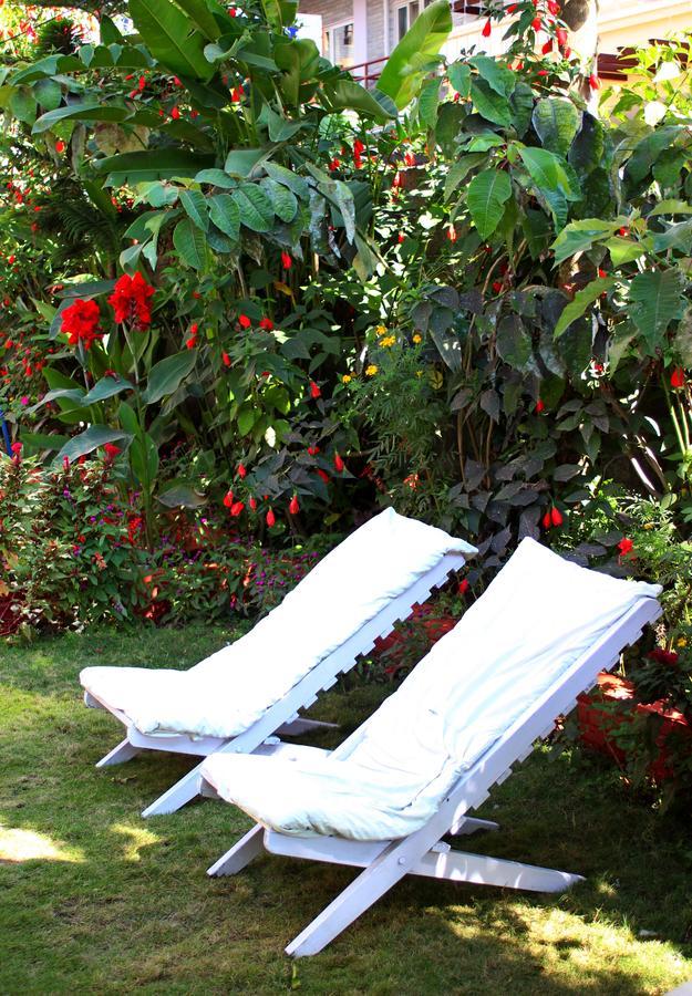 Hotel Angel Pokhara Exterior foto