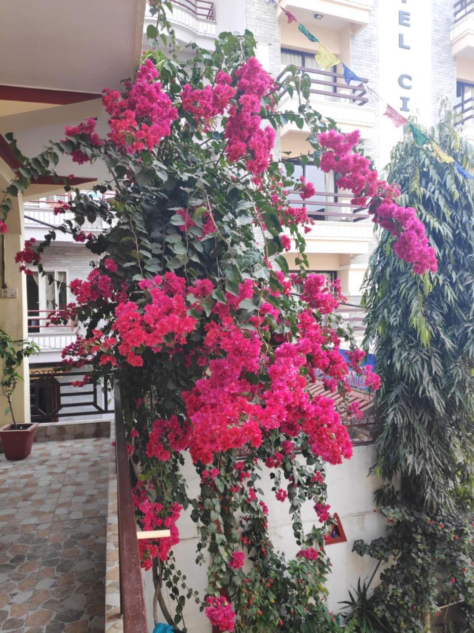 Hotel Angel Pokhara Exterior foto